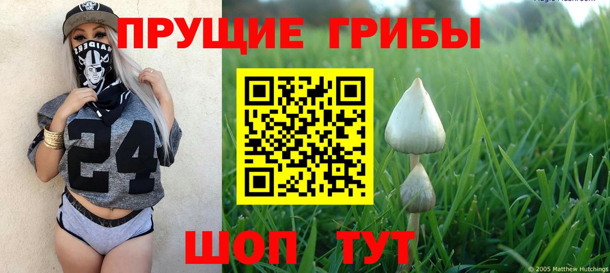 Псилоцибиновые грибы мицелий  Галлюциногенные грибы мухоморы  что такое   Вход с VPN  Оренбург 